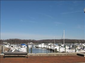Laura Riley Realtor Northern Virginia Homes